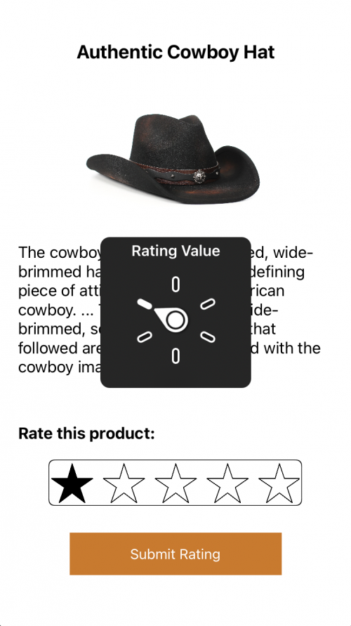 Implementing VoiceOver with a Custom Rotor Big Nerd Ranch